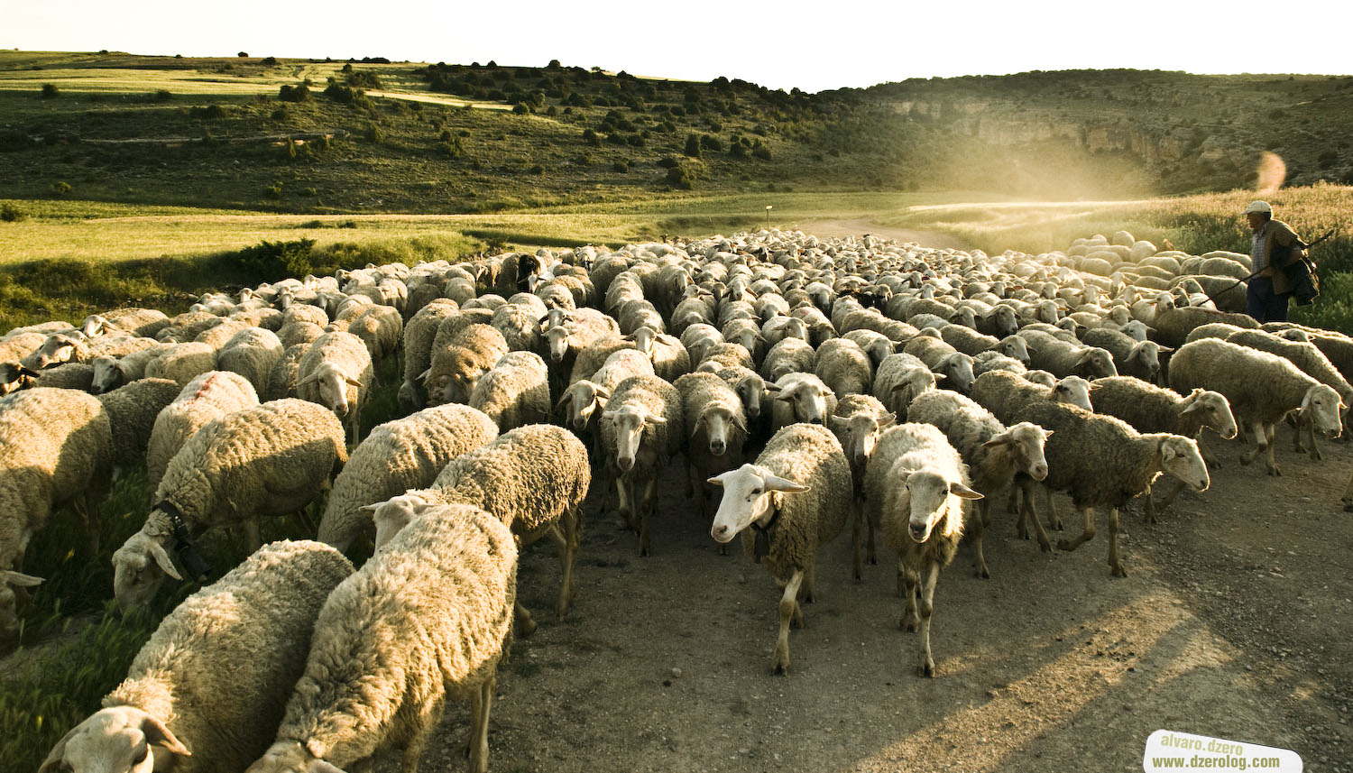 CAMPO ABIERTO TELEVISIÓN