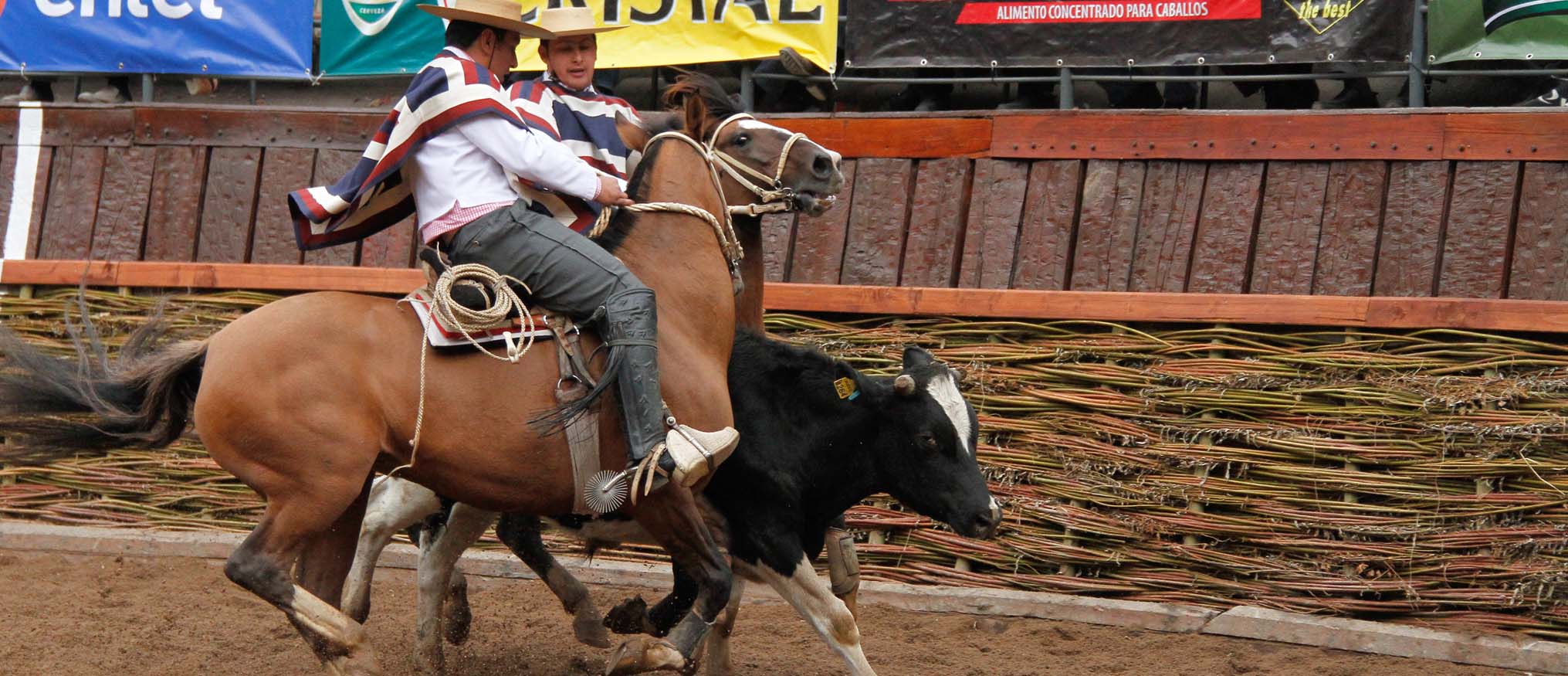 Rodeo en vivo con Alejandro Seplveda